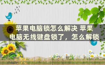 苹果电脑锁怎么解决 苹果电脑无线键盘锁了，怎么解锁